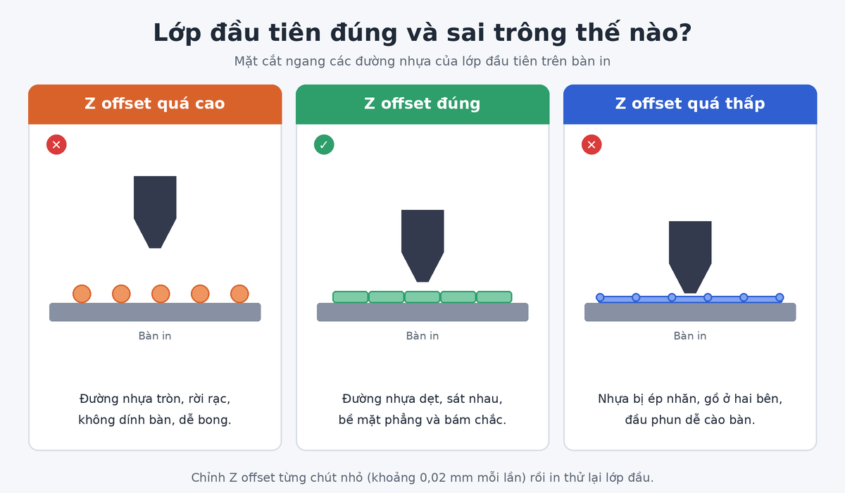 Mặt cắt lớp đầu tiên khi in 3D: Z offset quá cao, đúng và quá thấp